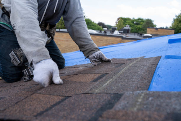 Best Roof Repair Services  in Cavalier, ND