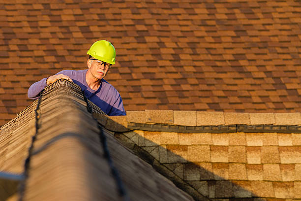 Best Residential Roofing Contractor  in Cavalier, ND